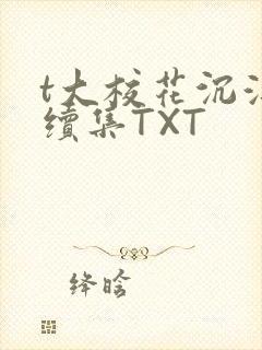 t大校花沉浮录续集TXT