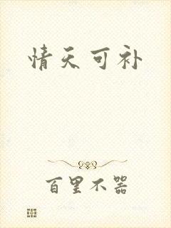 情天可补