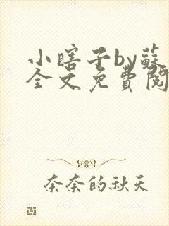 小瞎子by苏软全文免费阅读