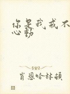 你是我戒不掉的心动