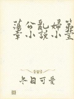 荡公乱妇第51章小说小莹