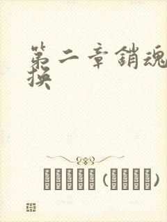 第二章销魂的交换