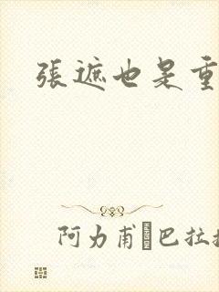 张遮也是重生吗封面