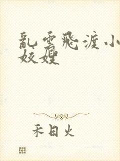 乱云飞渡小说之姣嫂