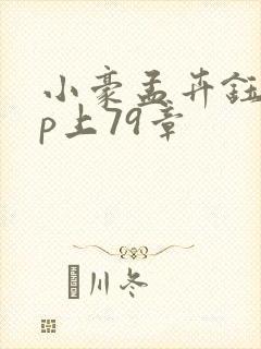 小豪孟卉钰慧三p上79章