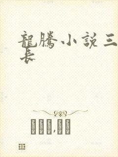 龙腾小说三宝局长