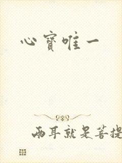 心宝唯一