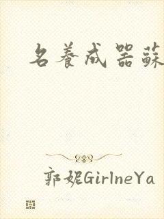 名养成器苏沫沫