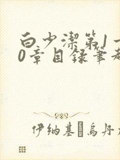 白少洁第1一40章目录笔趣阁封面