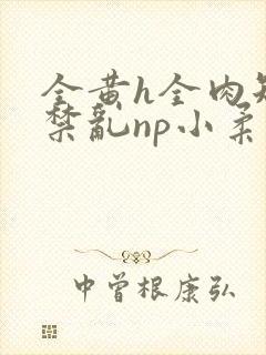全黄h全肉短篇禁乱np小柔封面
