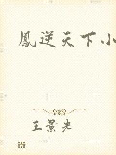 凤逆天下小说