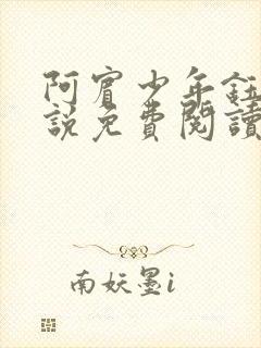 阿宾少年钰慧小说免费阅读笔趣阁