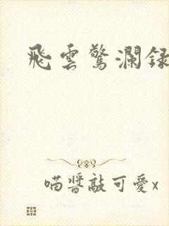 飞云惊澜录