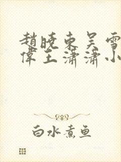 赵晓东吴雪晴郑伟王潇潇小说