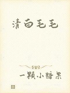 清白毛毛封面
