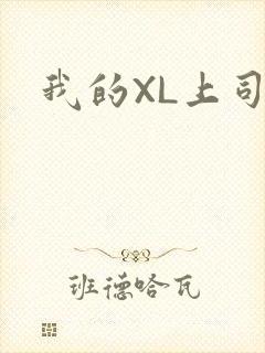 我的XL上司