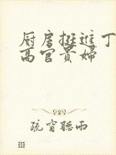 厨房挺进丁字裤高官贵妇