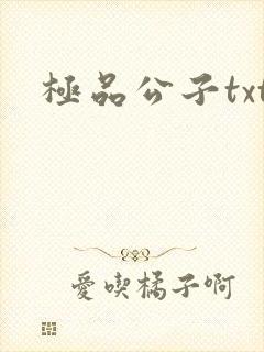 极品公子txt