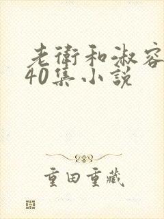 老卫和淑容1-40集小说