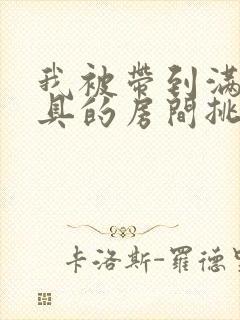 我被带到满是玩具的房间挑调作文