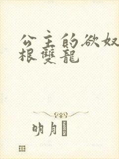 公主的欲奴h四根双龙