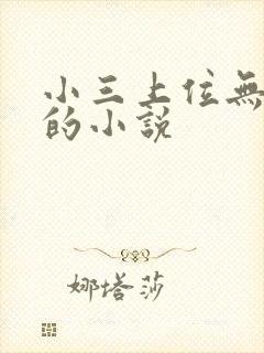 小三上位无三观的小说