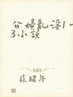 公妇乱淫1一13小说封面