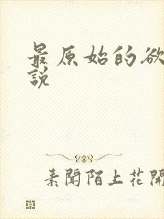 最原始的欲望小说封面