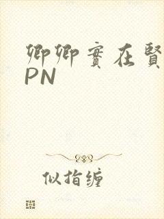 卿卿实在贤良NPN