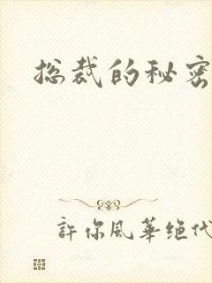 总裁的秘密情人