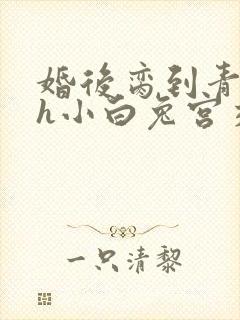 婚后脔到青梅哭h小白兔宫交h