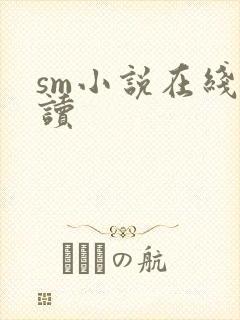 sm小说在线阅读