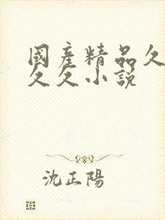 国产精品久久久久久小说