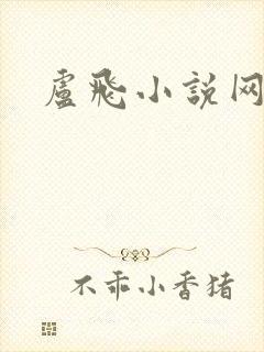 卢飞小说网封面