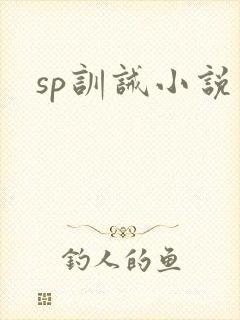 sp训诫小说