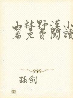 山林野汉小说全篇免费阅读