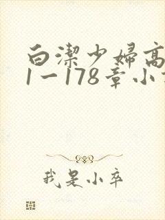 白洁少妇高义第1一178章小说