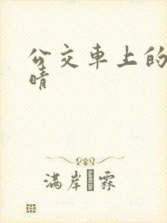 公交车上的诗请晴封面