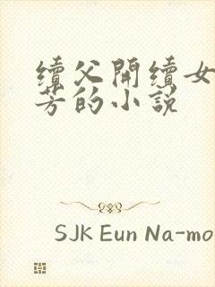 续父开续女包小芳的小说封面