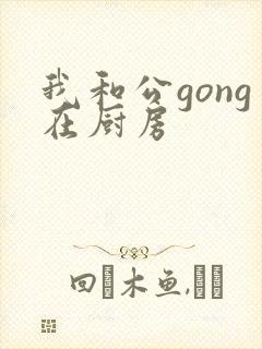 我和公gong在厨房