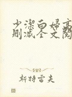 少洁白妇高义无删减全文阅读