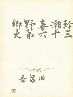 乡野春潮干柴烈火第六十三章