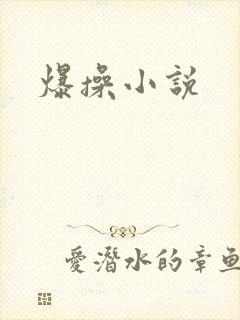 爆操小说
