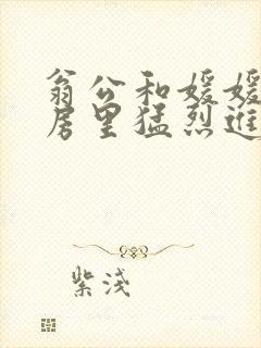 翁公和媛媛在厨房里猛烈进出