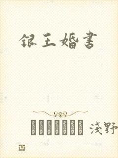 银王婚书封面