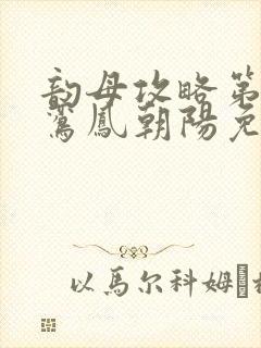 韵母攻略第二部鸾凤朝阳免费阅读