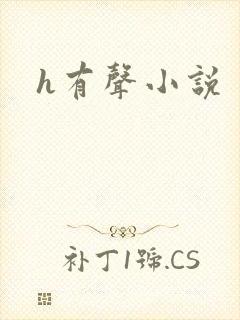 h有声小说