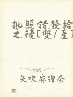 批照错发给情敌之后[双/产]