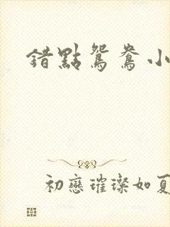 错点鸳鸯小说封面