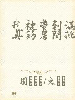 我被带到满是玩具的房间挑调游戏